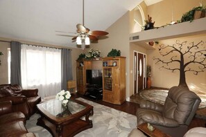 Televisión, chimenea, reproductor de DVD, libros