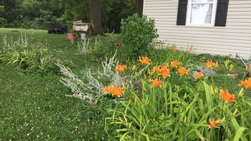 Un jardí amb flors taronges i vegetació verda davant d'una casa amb persianes negres.
