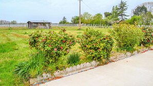 A roadside with a concrete barrier, green grass, and flowering bushes. - 2 bedroom awesome home in Langon (Langon)