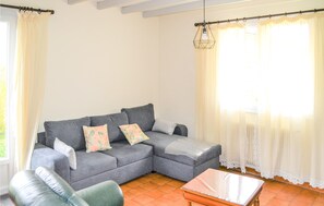 تلفزيون، مشغل دي في دي