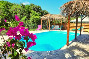 Outdoor pool - Gîte Cannelle (Saint-François)