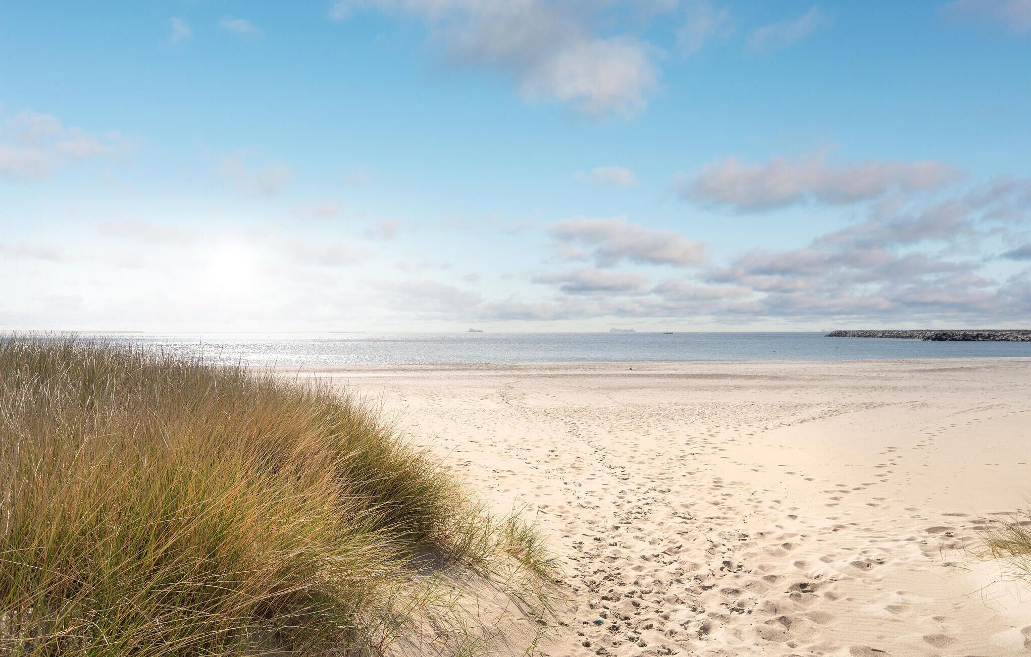 Beach nearby, fishing