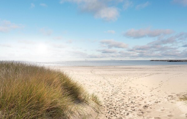 Vlak bij het strand, vissen