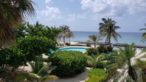 Un resort tropical con piscina rodeada de exuberante vegetación y palmeras, con vistas a una playa y el océano.