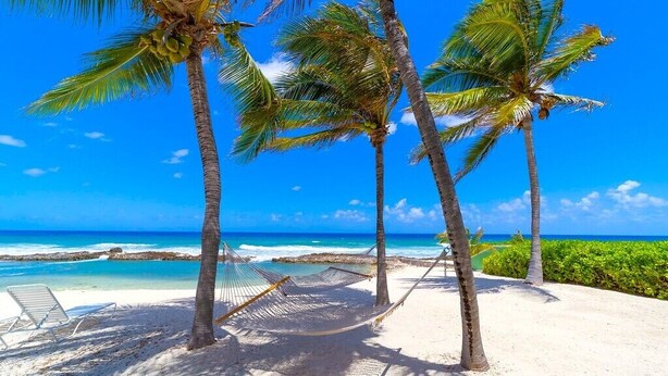 Una playa con palmeras, una hamaca y un cielo azul despejado.