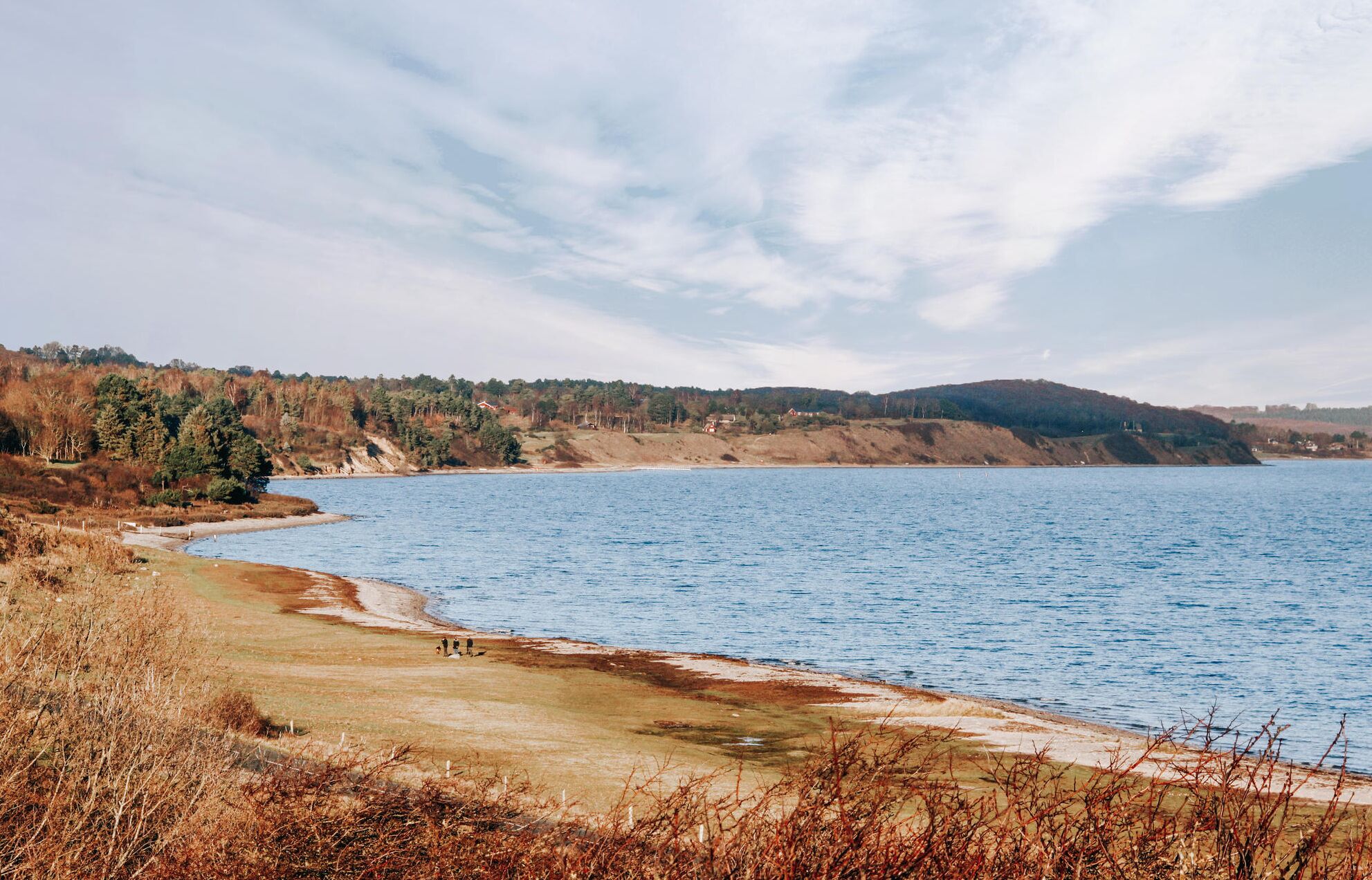 Tæt på stranden, fiskeri