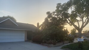 A residential driveway with a garage, a mailbox, and a large tree. - Cozy Peaceful Convenient Sweet Home 1 minute to all places 優雅方便，私用衛浴， 高速出口一分鐘。 (Hacienda Heights)