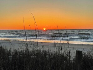 Sun loungers, beach towels - First Floor Home, No Stairs, Only One Block From The Ocean (Myrtle Beach)