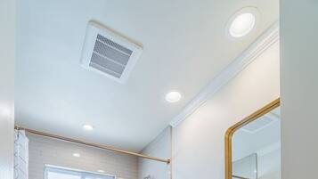 Combined shower/tub, hair dryer