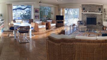 Smart TV, fireplace, books