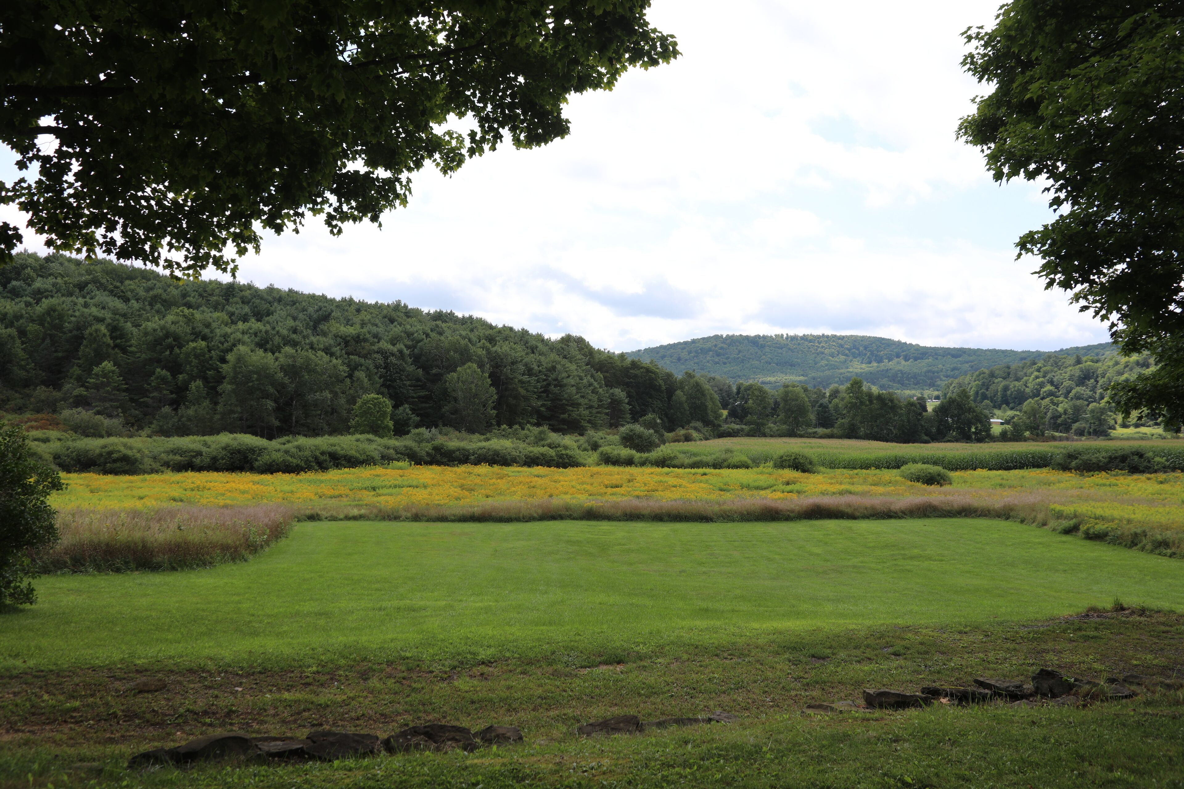 Rural MIL Suite 1 Bedroom, NO WiFi, vintage Farmhouse on 172 acres!
