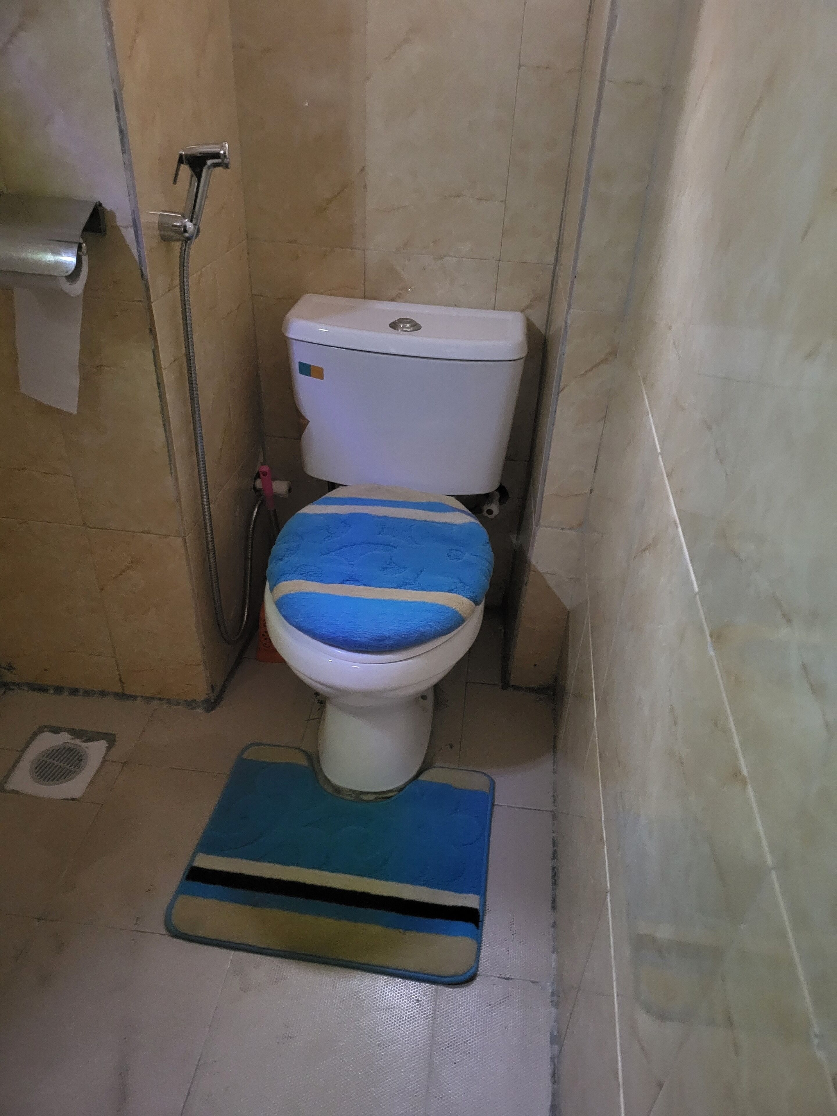Une salle de bain avec des toilettes, une douche et un petit tapis sur le sol.