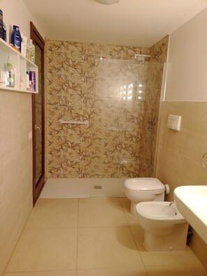 Shower, hair dryer, bidet, towels