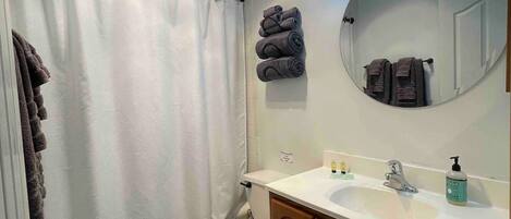 Une salle de bain avec des toilettes, un lavabo avec un miroir et un rideau de douche.