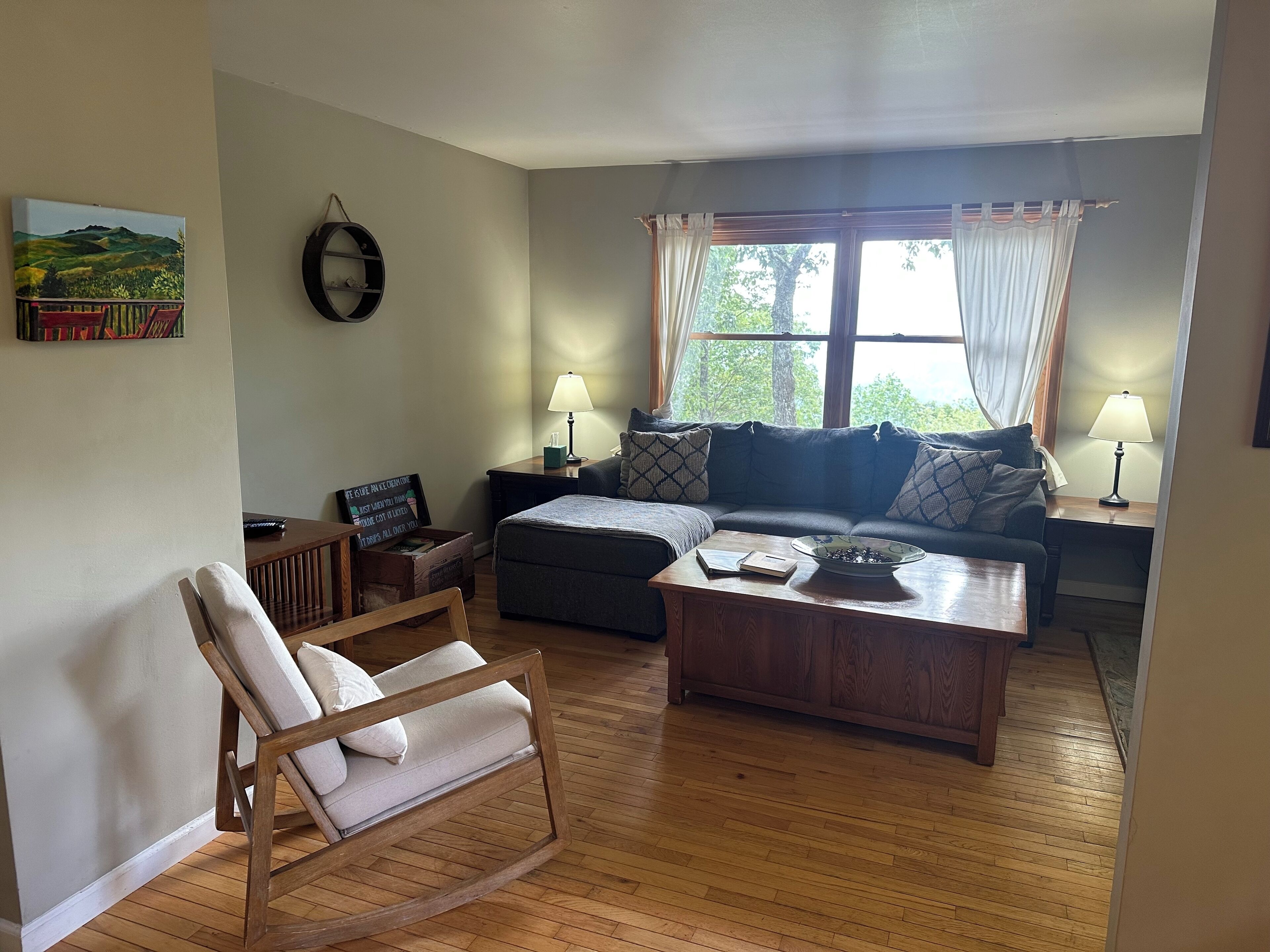 Smart TV, fireplace, DVD player, books