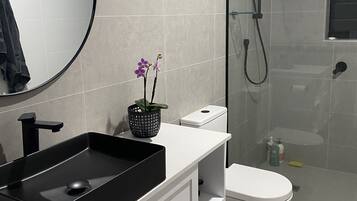 Shower, hair dryer, towels, soap