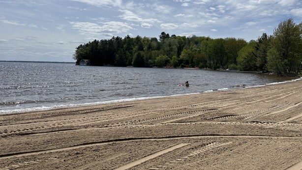 Une plage avec une île boisée en arrière-plan et un ciel dégagé.