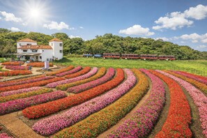 Un edificio blanco con techo rojo, rodeado de un jardín con hileras de flores de colores.