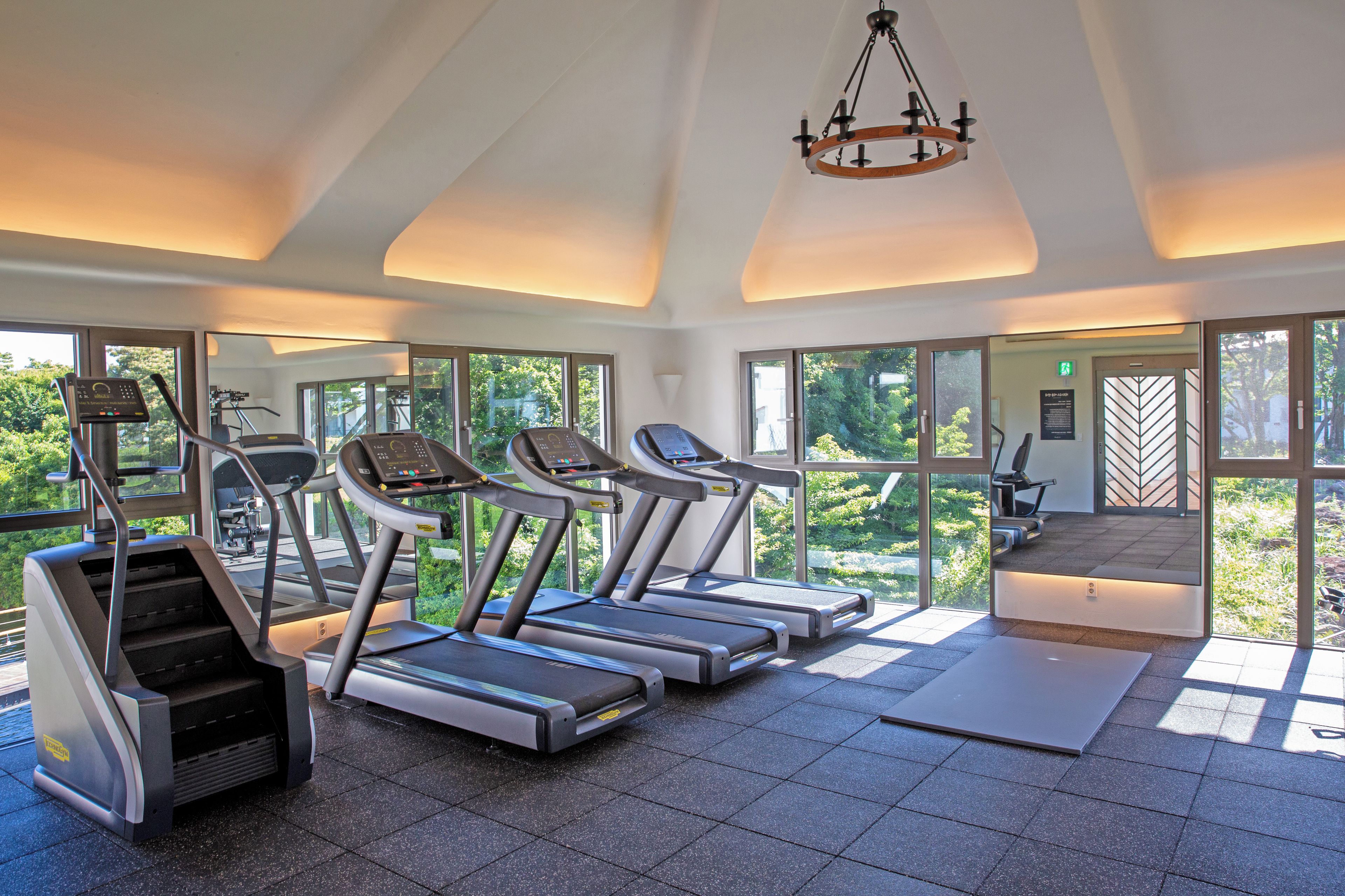 A gym with treadmills, exercise bikes, and a large window offering a view of greenery.