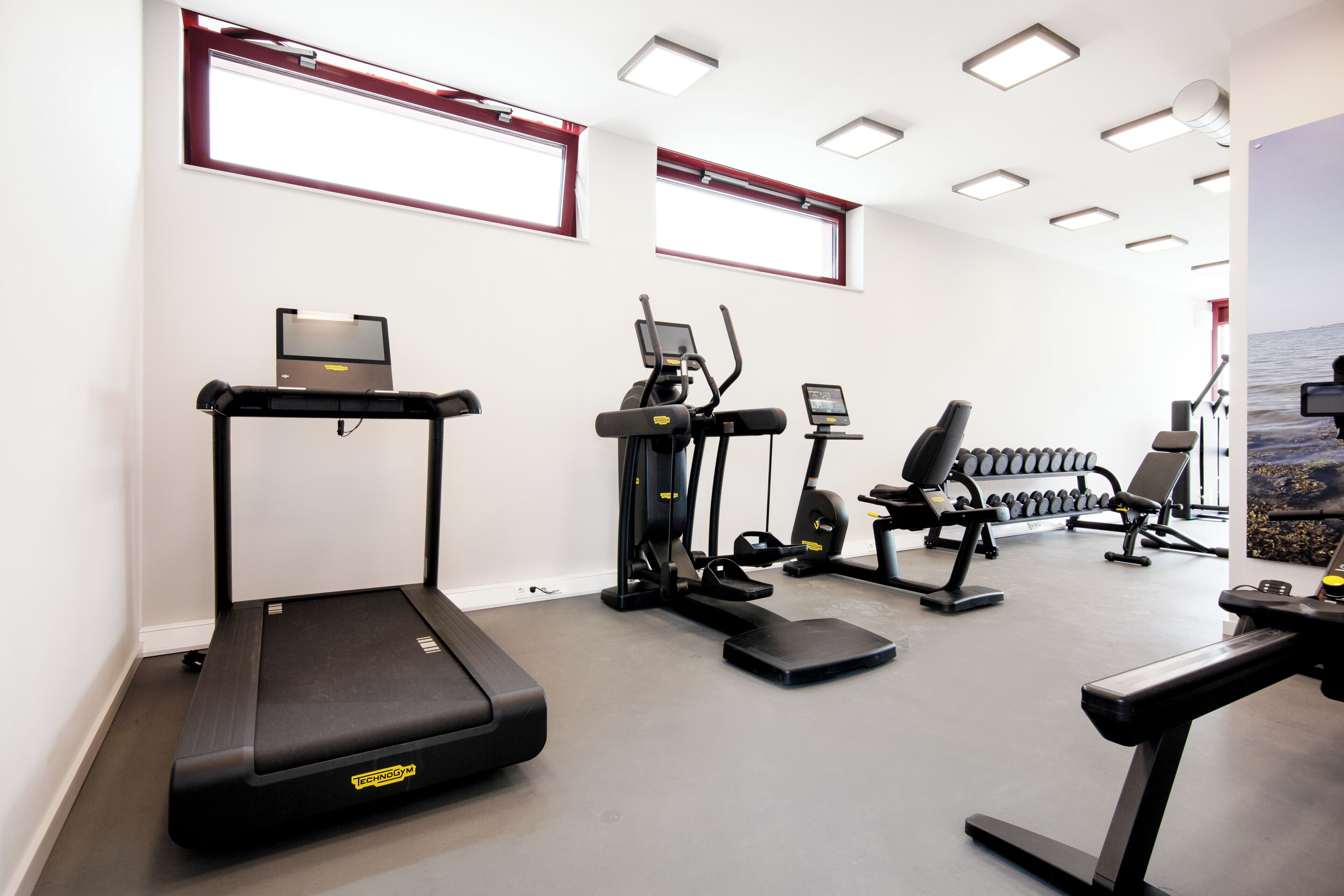 A gym with treadmills, elliptical machines, and dumbbells.