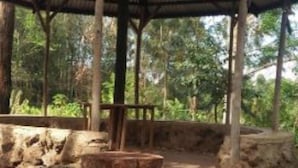 Un pavillon rustique en bois, surmonté d’un toit en métal, entouré d’arbres et bordé d’un sentier de terre.