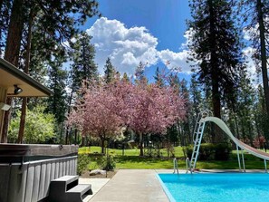 A backyard with a swimming pool, a hot tub, a slide, and a cherry blossom tree. - CdA Hotspot - Hot Tub, Pool, & Sauna (Coeur d Alene)
