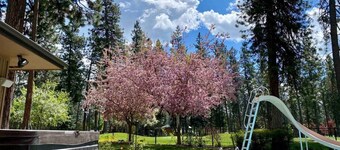 CdA Hotspot - Hot Tub & Pool