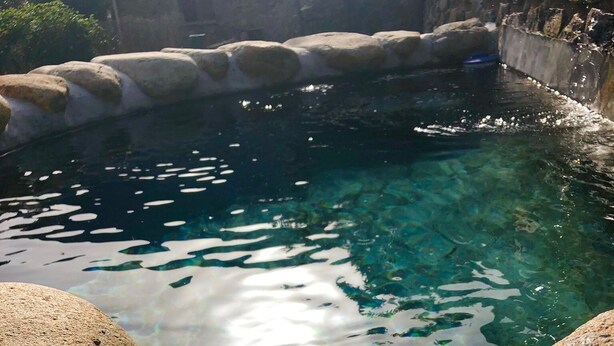 A clear pool surrounded by large rocks. - Former "U FRAGNU" wine press (Omessa)