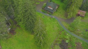 Exterior - Cabin Steps from Mt. Rainier Park (Ashford)