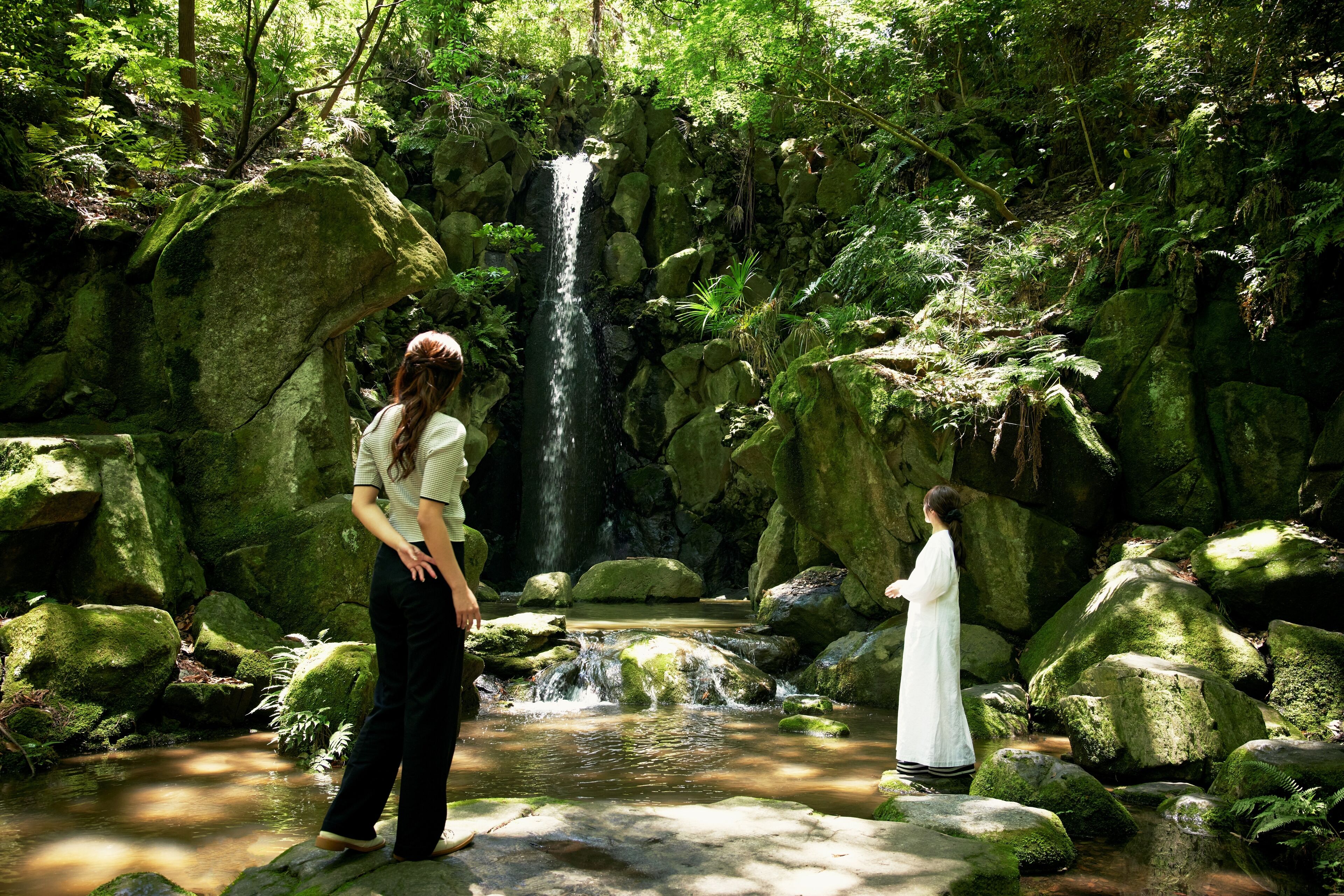 Foto - Waqoo Naritasanmonzen