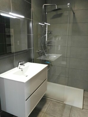 Shower, hair dryer, towels