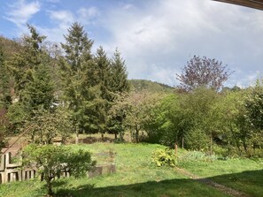 Ein üppiger Garten mit verschiedenen Bäumen und einem Steinweg.