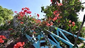 Una escalera de madera con barandilla azul claro que conduce a un área de jardín con flores rojas.