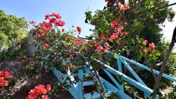 House, 4 Bedrooms, Balcony, Garden View | Garden