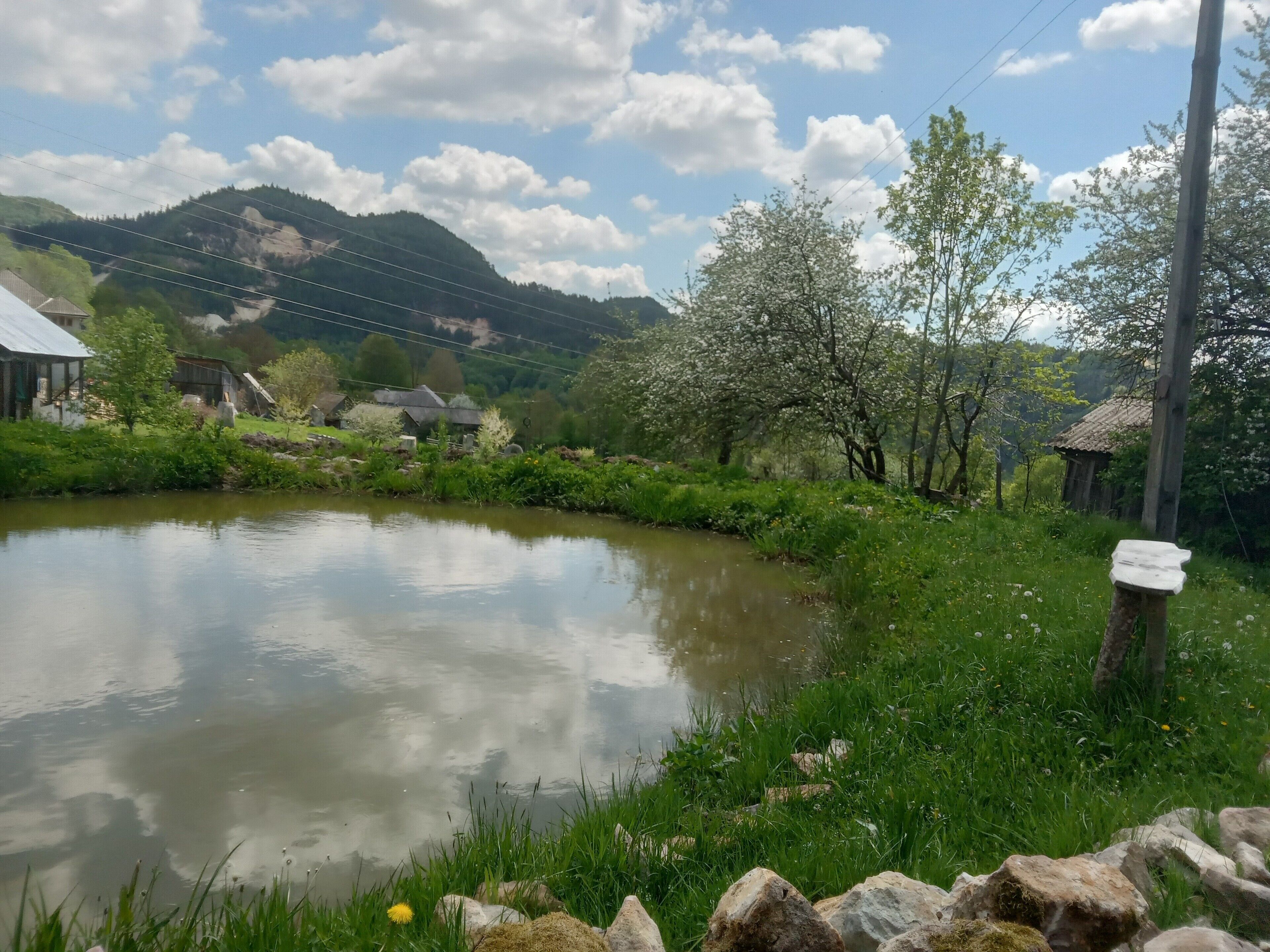 Chambre, 1 chambre, fumeur, patio | Enceinte de l’hébergement