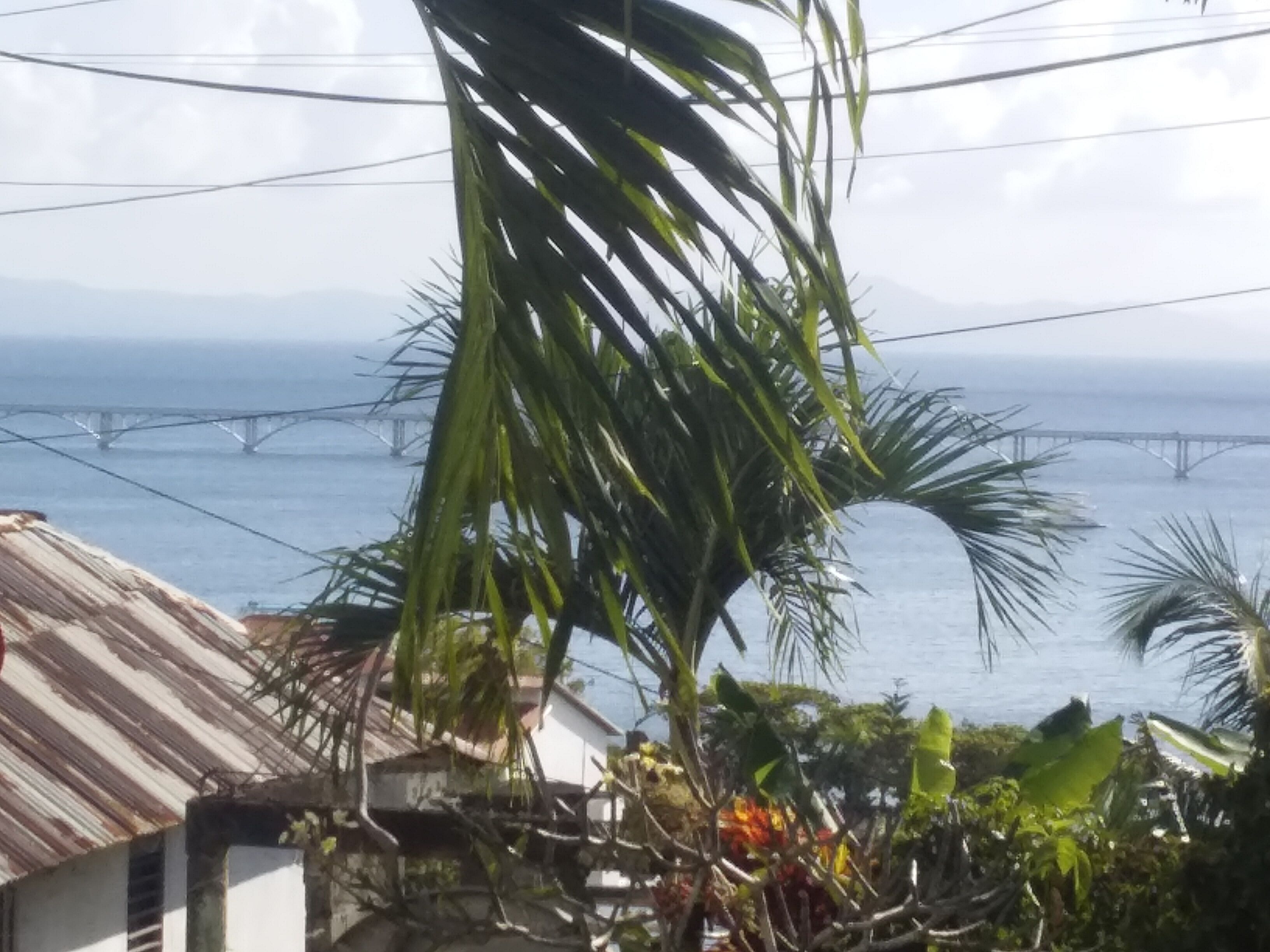 Photo - Room-best bed and Breakfast in Samana Br