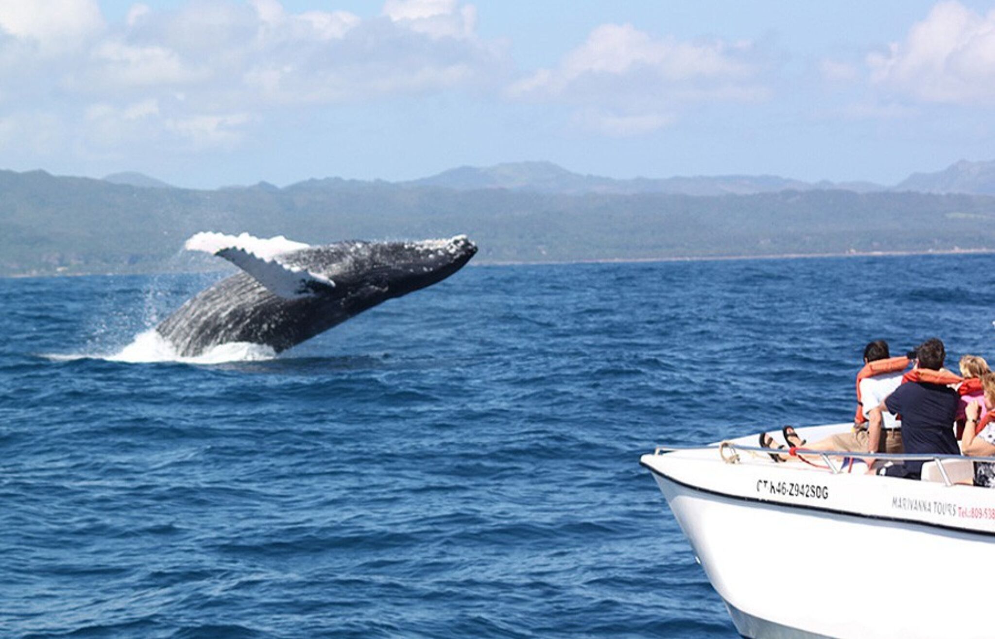 Photo - Best bed and breakfast in Samana Breakfast Included