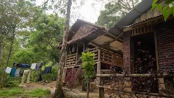 공용 도미토리, 침실 1개, 흡연, 정원 전망 | 숙박 시설의 전망