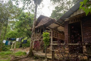 Shared Dormitory, 1 Bedroom, Smoking, Garden View | View from property