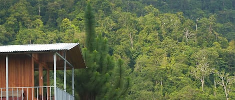 Utsikt fra overnattingsstedet