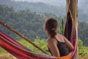 View from property - Native Baru Morpho Cabin (Barú)