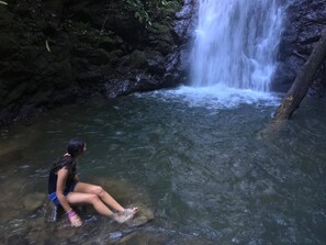 Miscellaneous - Native Baru Morpho Cabin (Barú)