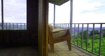 Native Baru Morpho Cabin