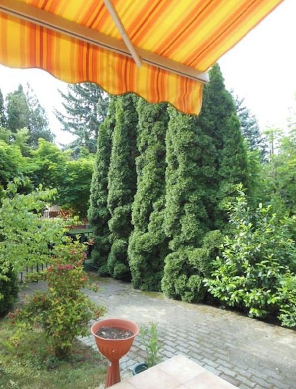 A garden with a brick pathway, a potted plant, and a tall coniferous tree. - Cozy Family Cottage at the Lake Balaton (Siófok)