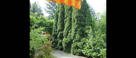 House, 3 Bedrooms, Smoking, Terrace | Property grounds