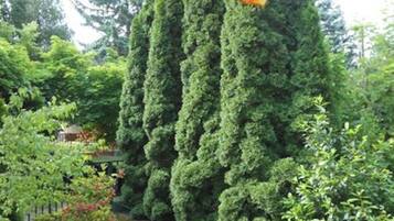 House, 3 Bedrooms, Smoking, Terrace | Property grounds