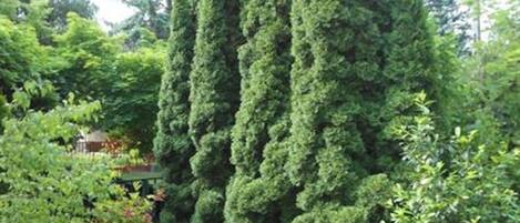 Casa, 3 camere da letto, fumatori, terrazzo | Parco della struttura