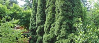 Cozy Family Cottage at the Lake Balaton