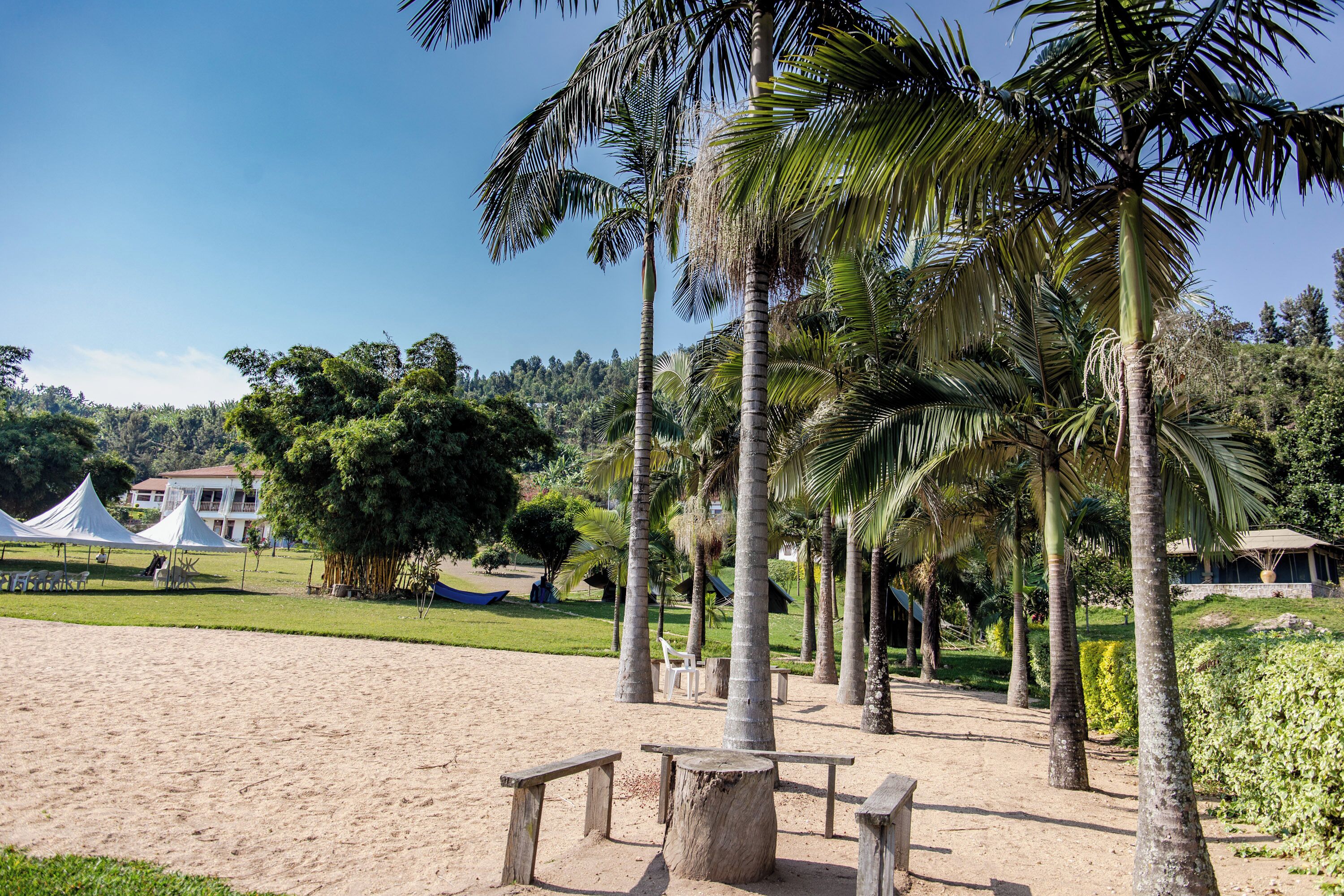 Uma área de praia arenosa com palmeiras, tendas brancas e um campo gramado.