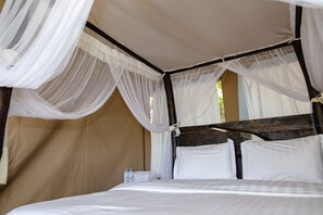1 habitación 